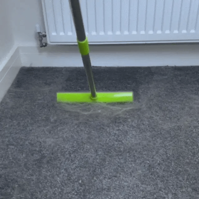 Snauff Fur Removal Broom