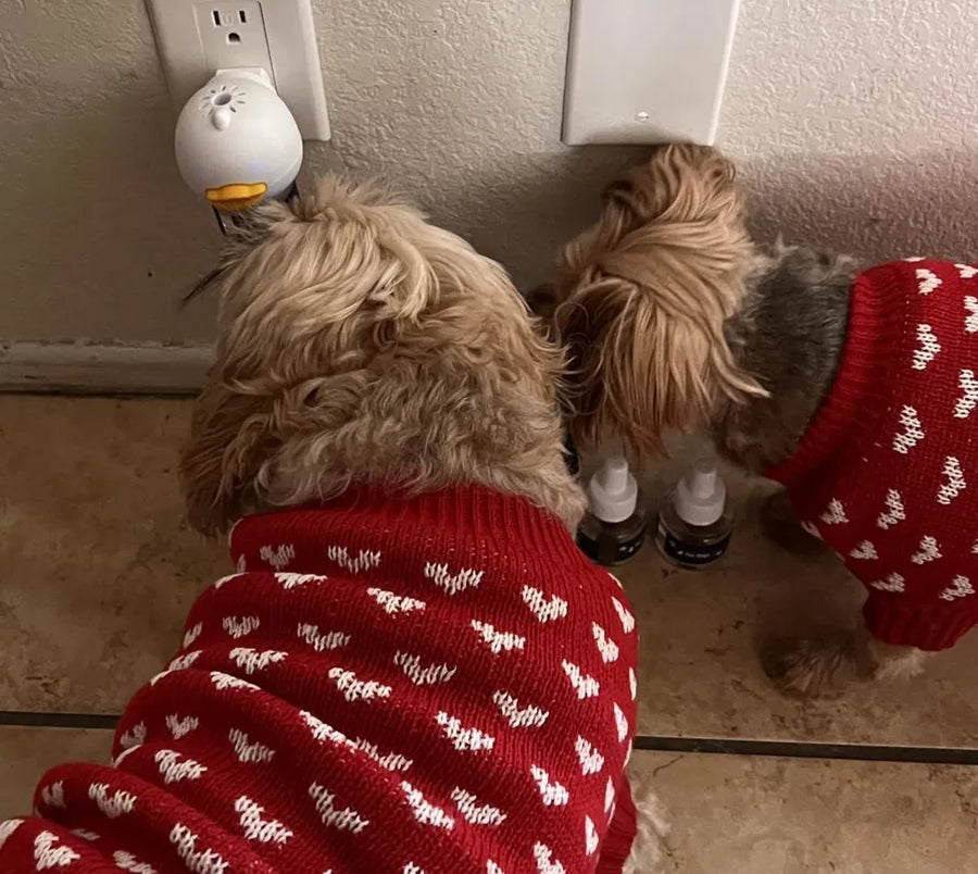 Happy customer with their pet and Snauff product