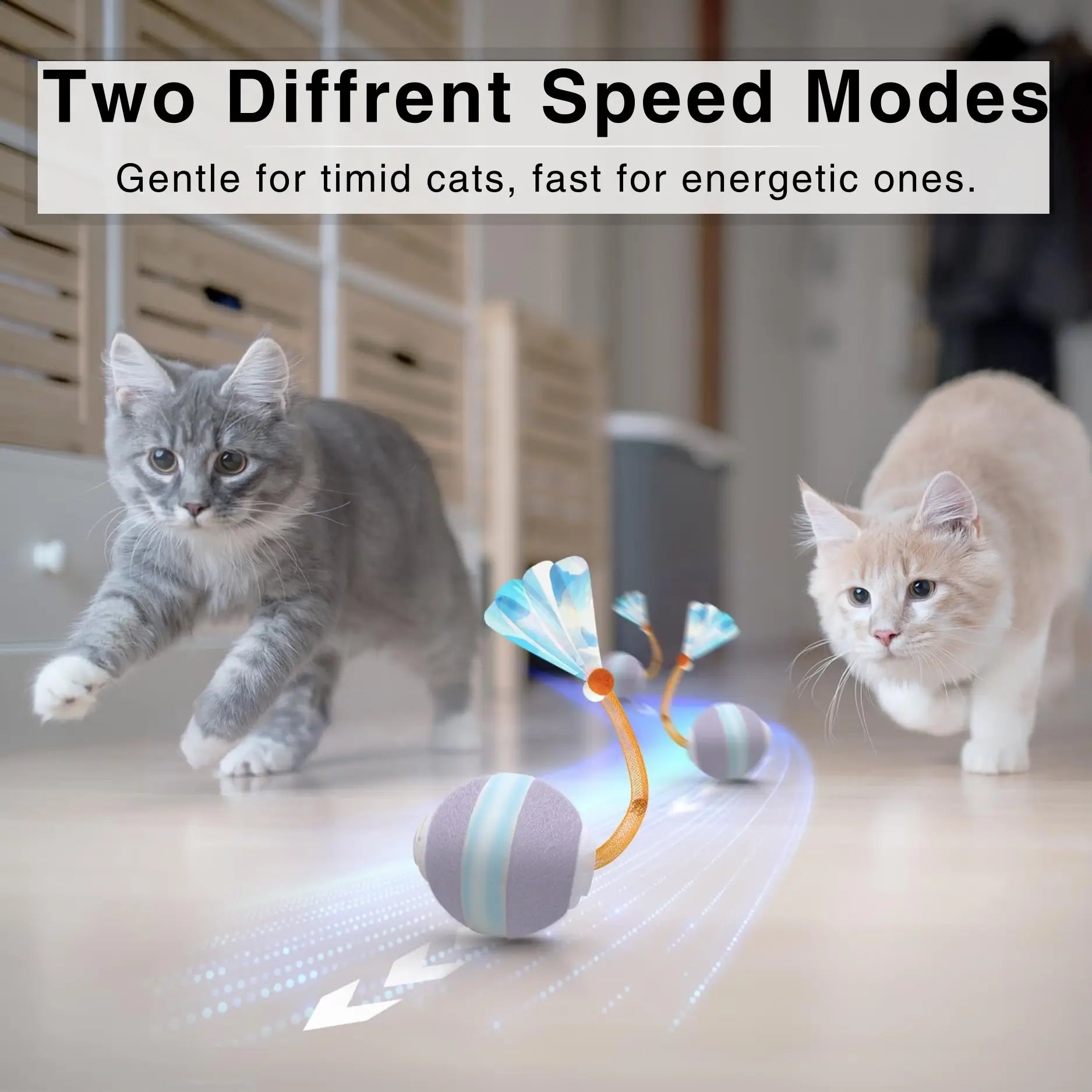 Snauff Plushy Ball Interactive Toy For Cats & Dogs