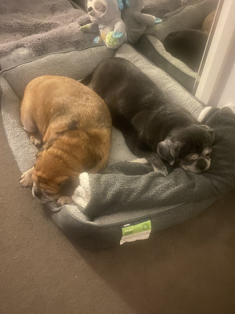 Happy customer with their pet and Snauff product