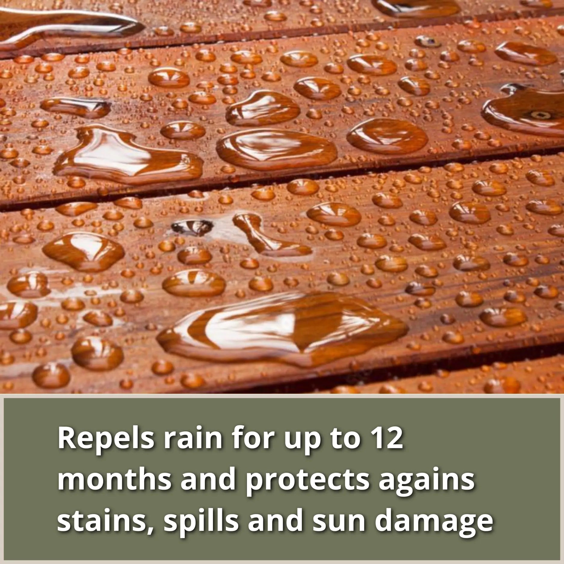 Snauff Teak Oil 3.4 fl. oz.